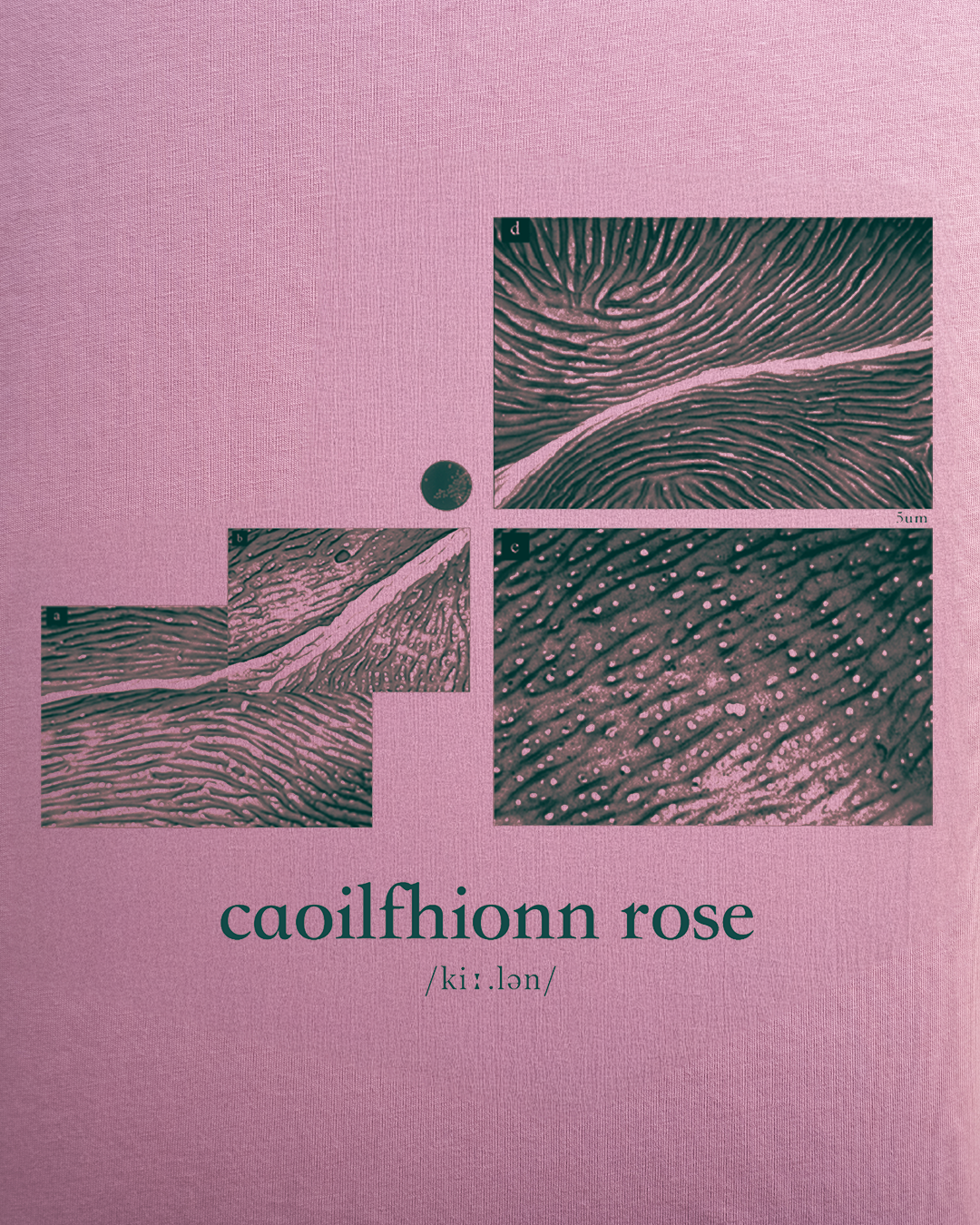 When Wandering - Paths